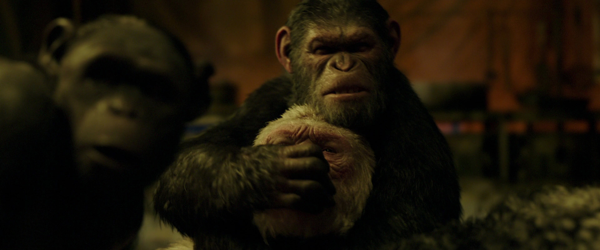 War for the Planet of the Apes (2017) movie still 4258