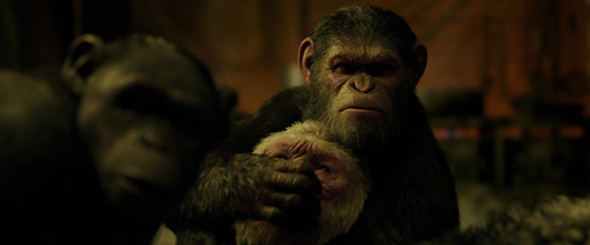 War for the Planet of the Apes (2017) HD screenshot 4259