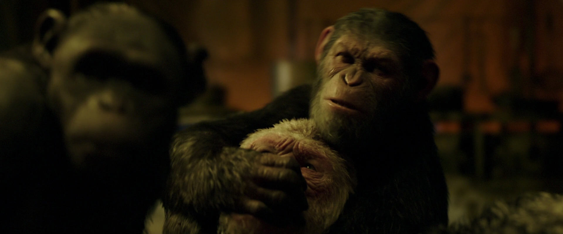War for the Planet of the Apes (2017) screencap 4260