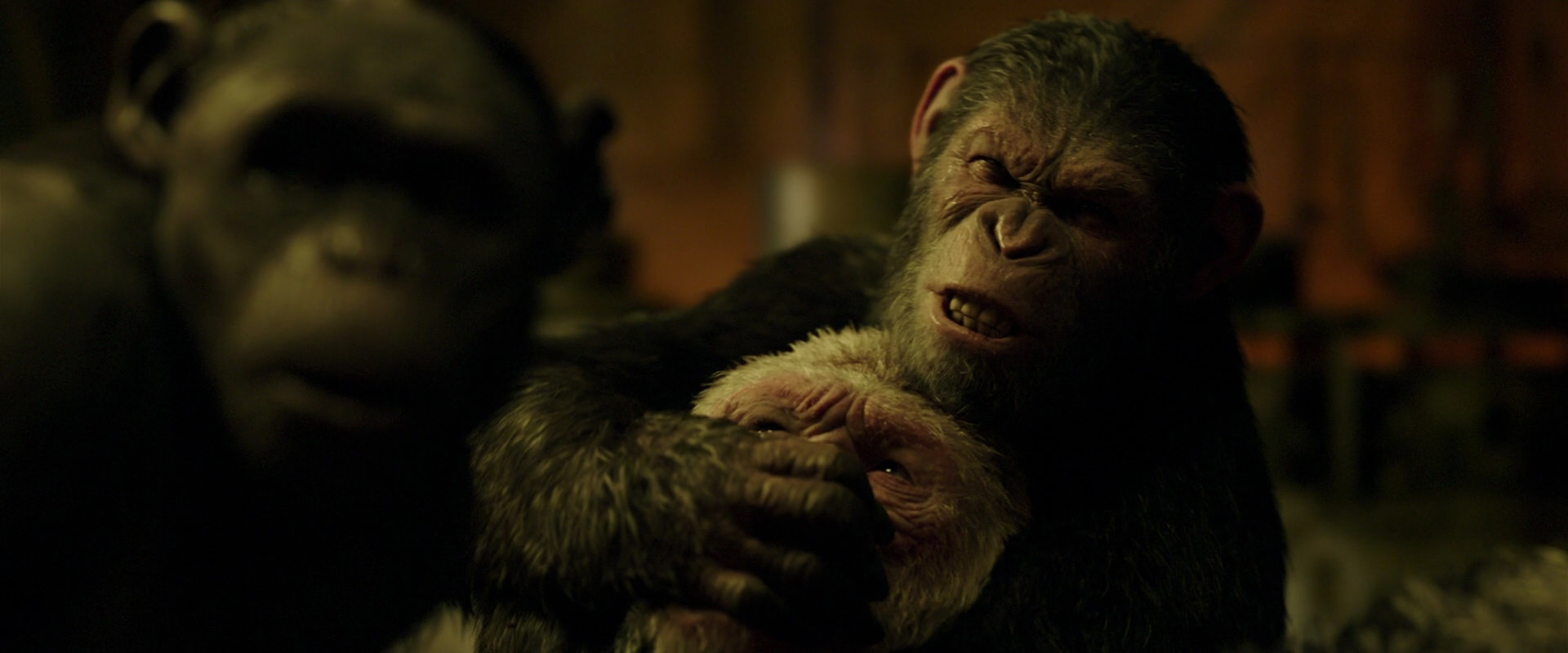 War for the Planet of the Apes (2017) movie still 4261