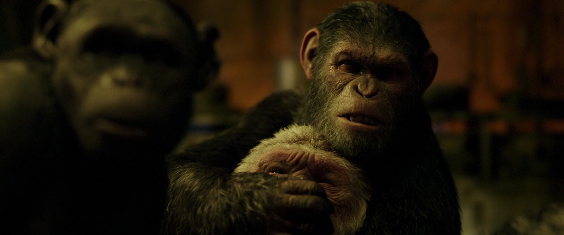 War for the Planet of the Apes (2017) HD screenshot 4262