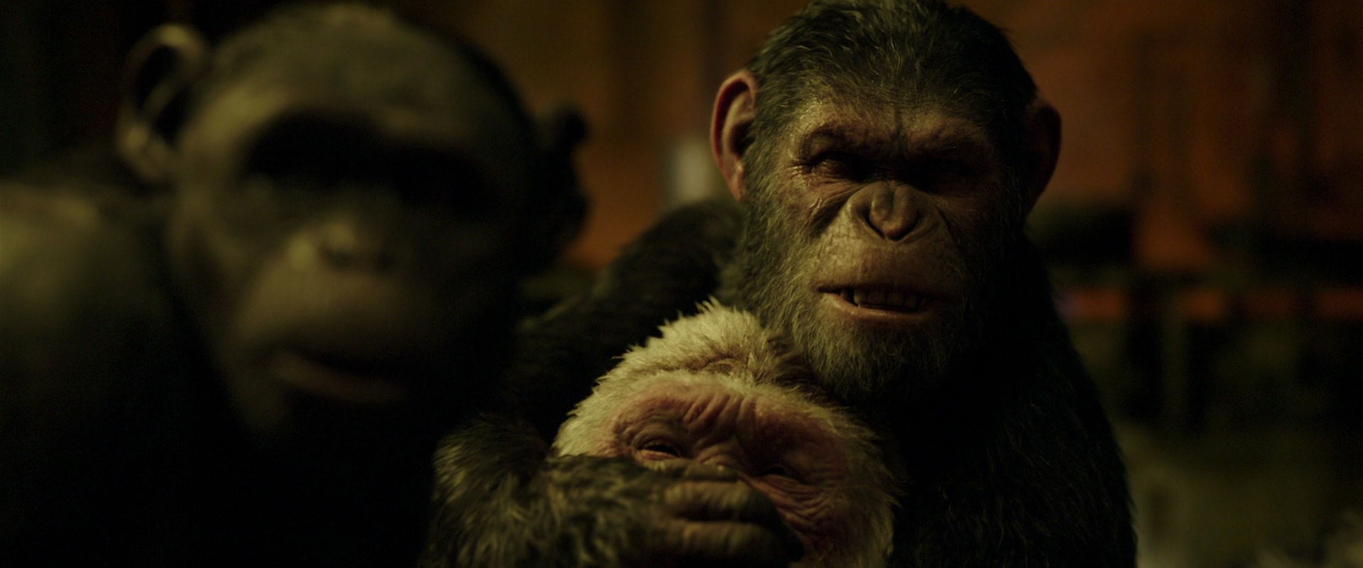 War for the Planet of the Apes (2017) screencap 4263