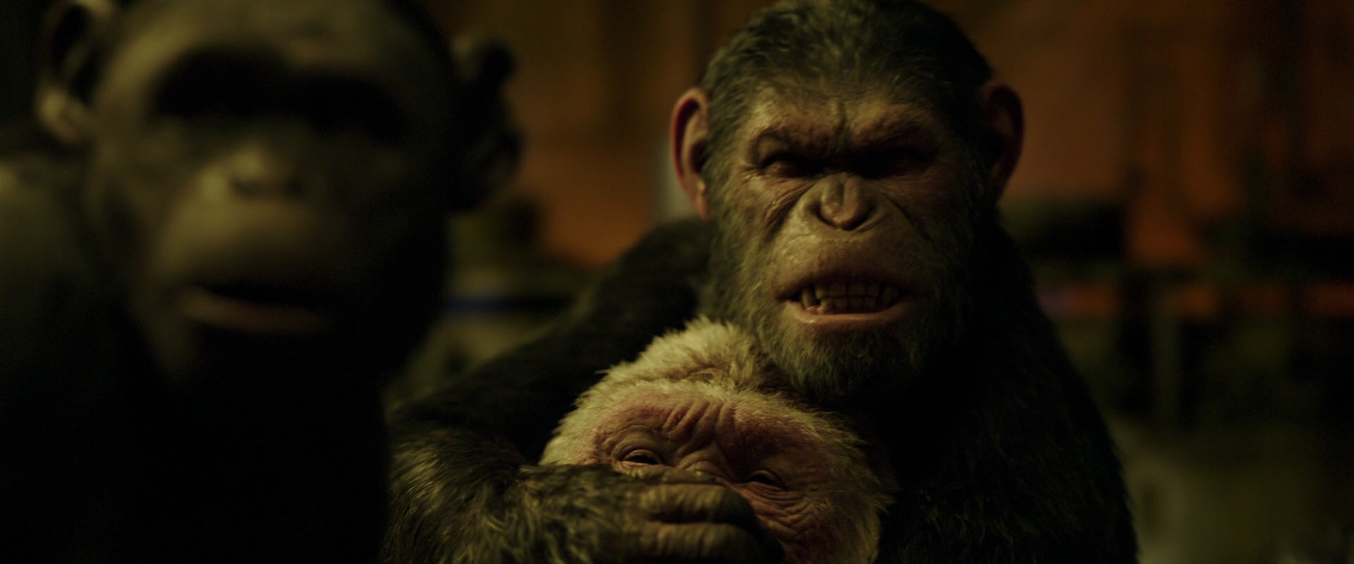 War for the Planet of the Apes (2017) movie still 4264