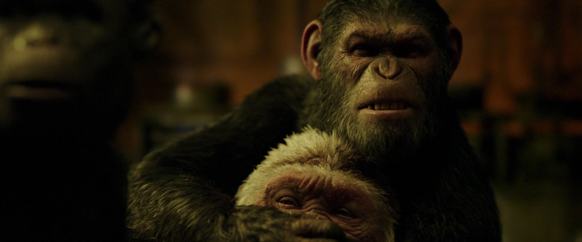 War for the Planet of the Apes (2017) HD screenshot 4265