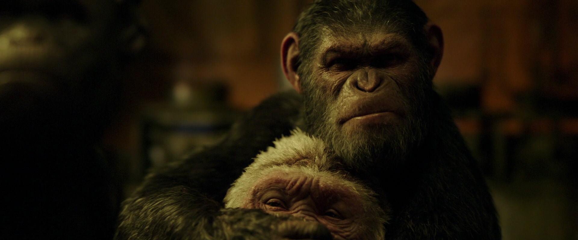 War for the Planet of the Apes (2017) screencap 4266