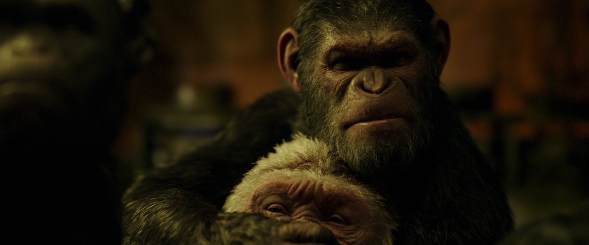 War for the Planet of the Apes (2017) movie still 4267