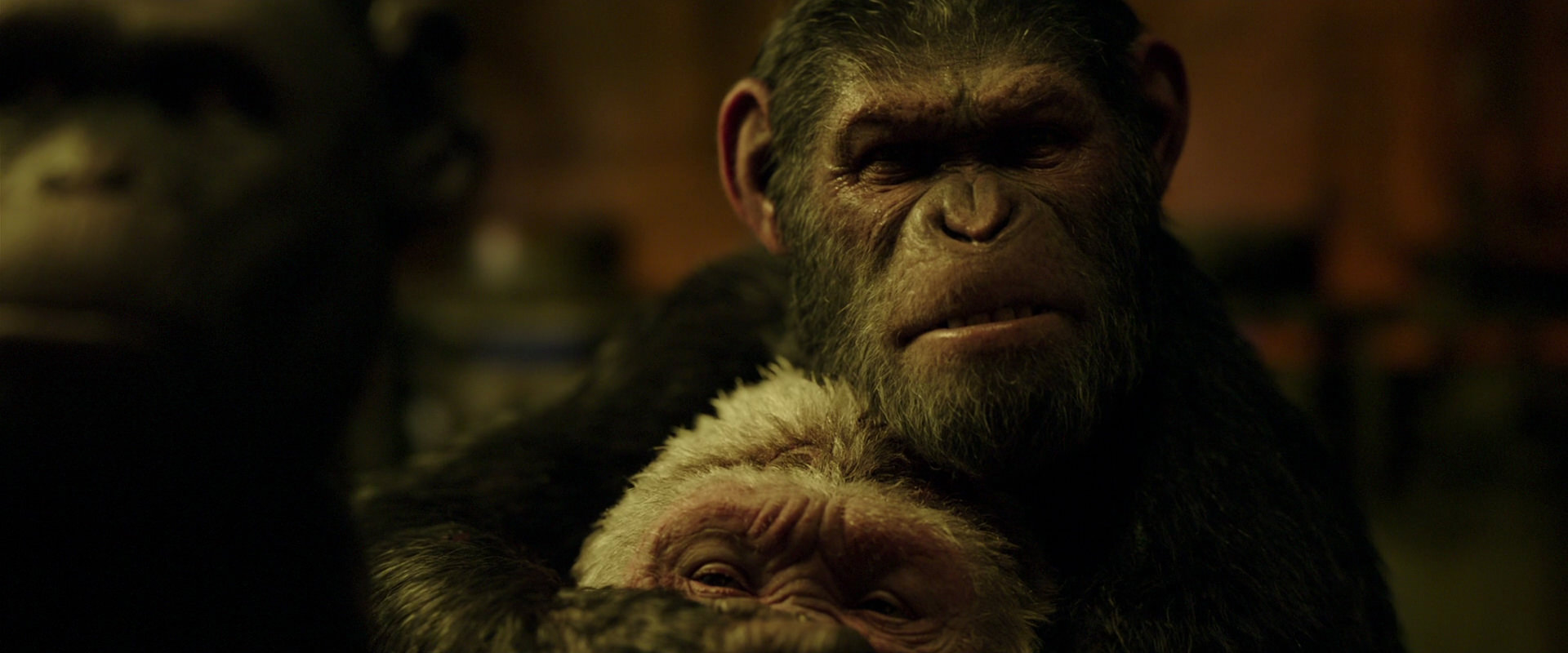 War for the Planet of the Apes (2017) HD screenshot 4268