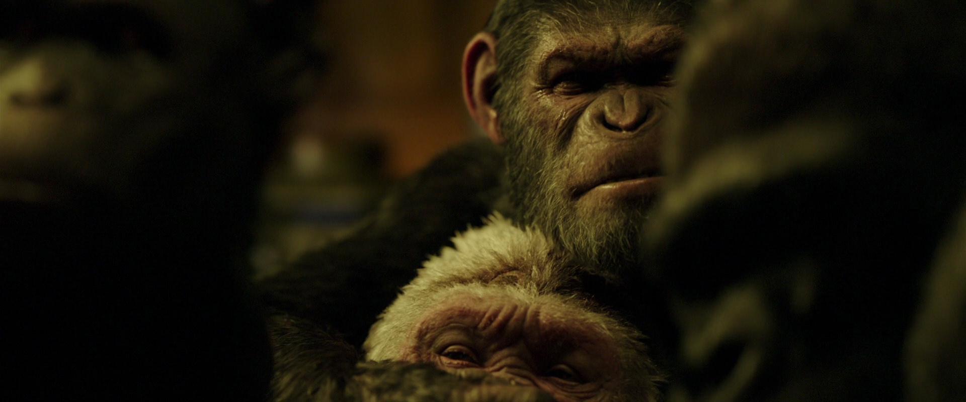 War for the Planet of the Apes (2017) screencap 4269