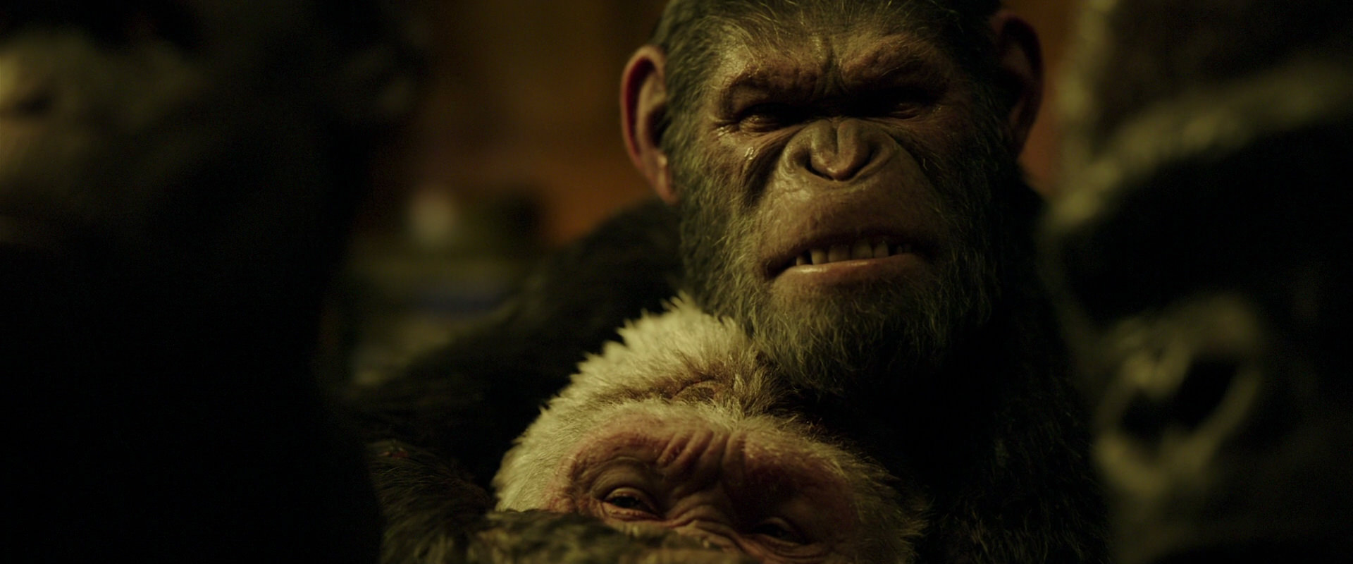 War for the Planet of the Apes (2017) movie still 4270