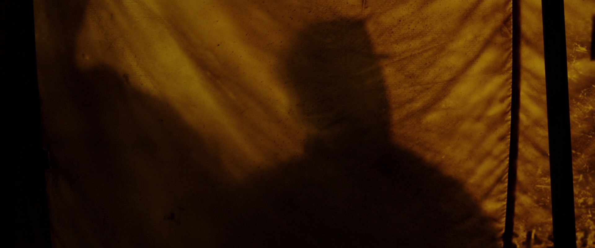 War for the Planet of the Apes (2017) screencap 4272