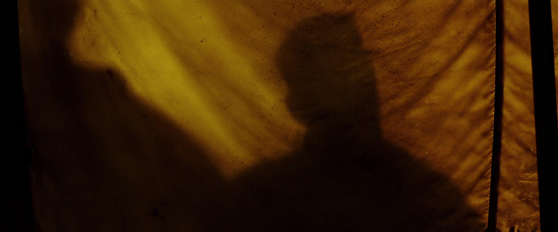 War for the Planet of the Apes (2017) screencap 4275