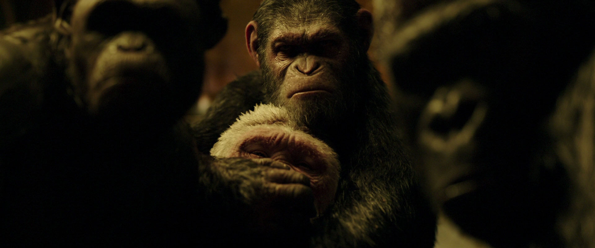 War for the Planet of the Apes (2017) HD screenshot 4286