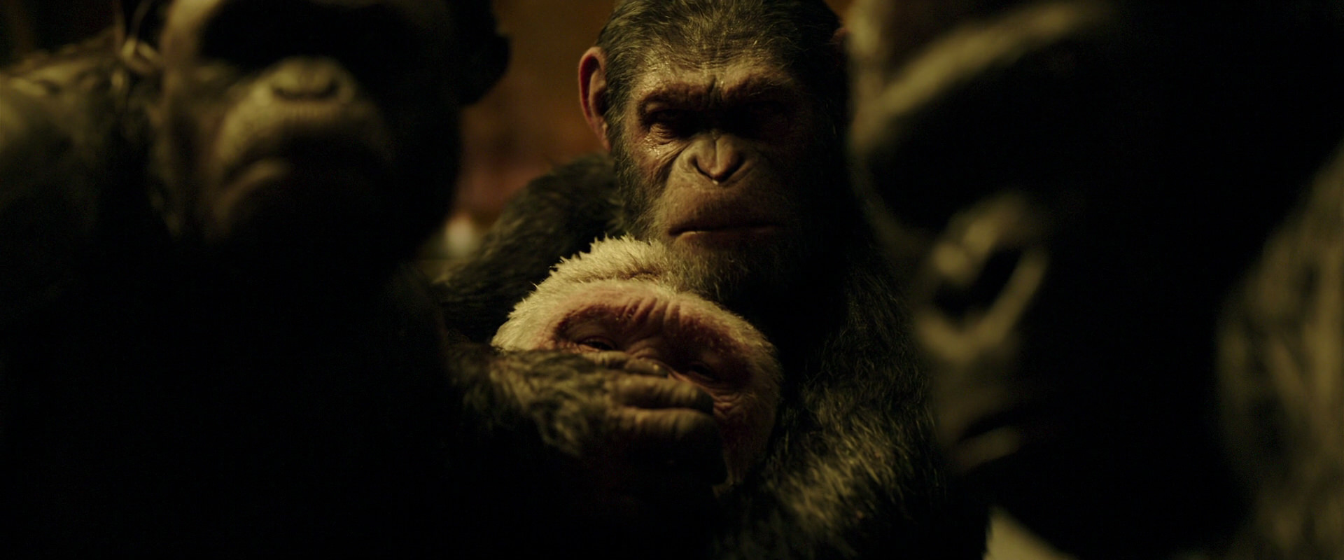 War for the Planet of the Apes (2017) screencap 4287