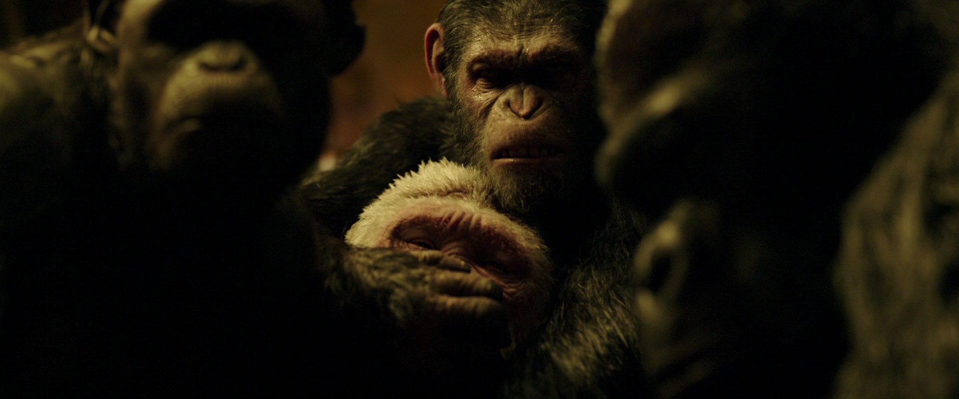 War for the Planet of the Apes (2017) movie still 4288