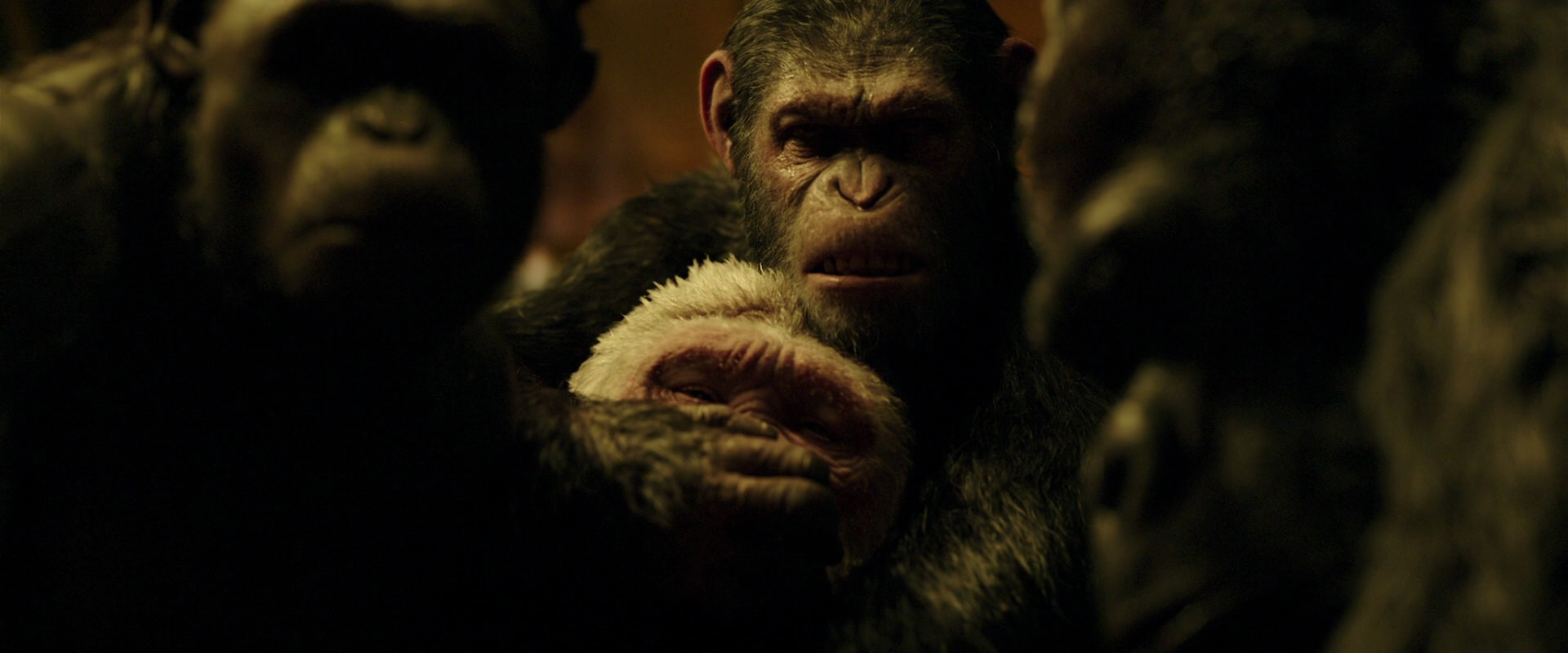 War for the Planet of the Apes (2017) HD screenshot 4289