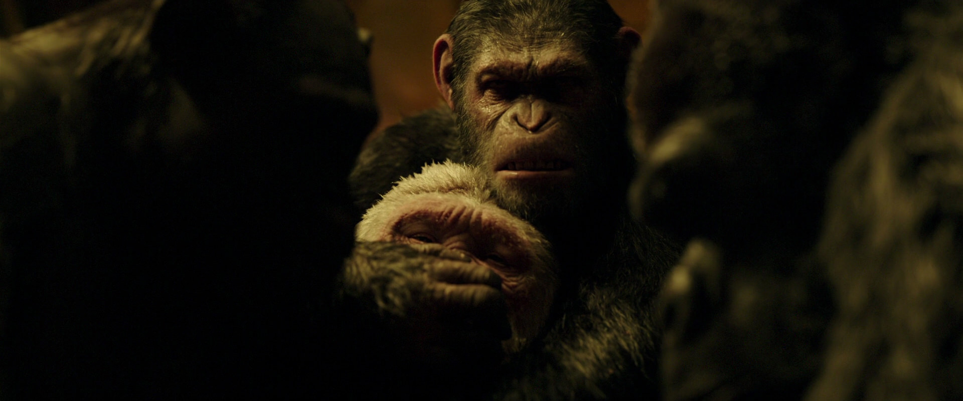 War for the Planet of the Apes (2017) screencap 4290