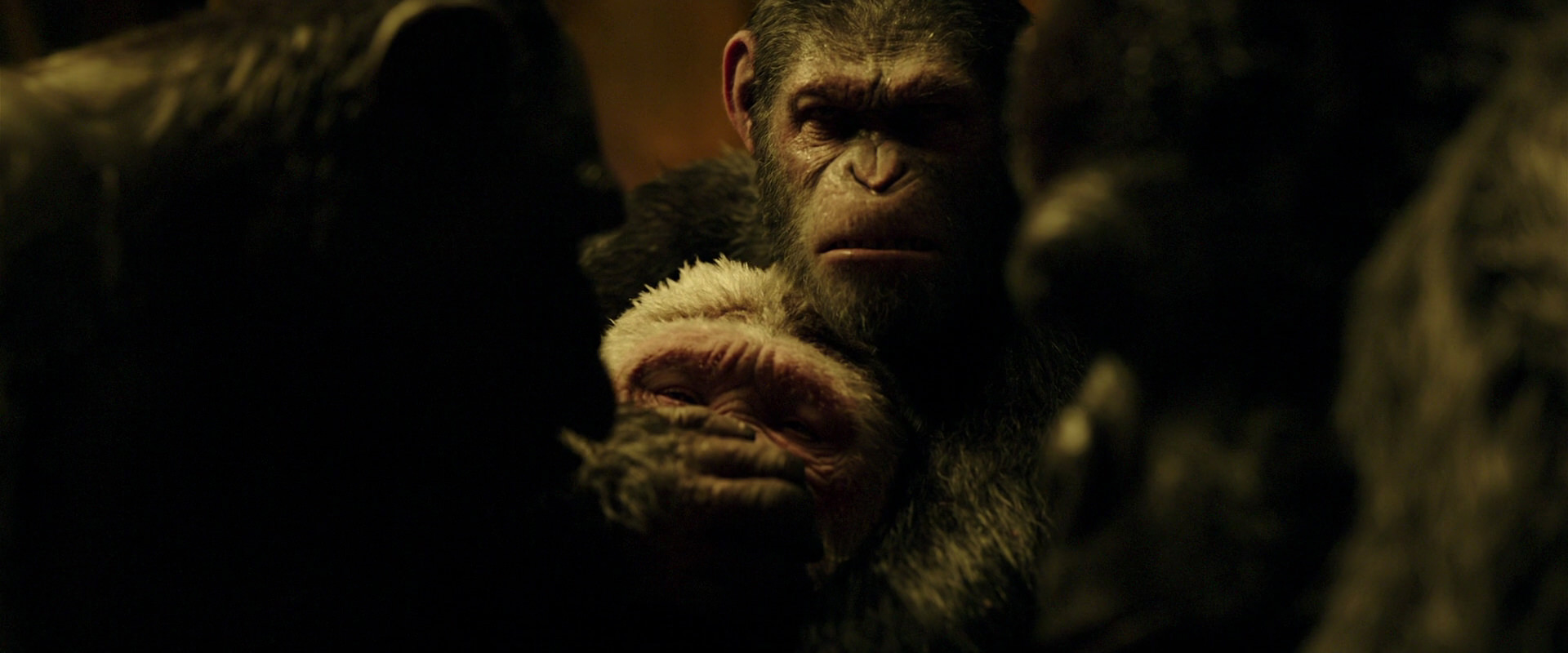 War for the Planet of the Apes (2017) movie still 4291