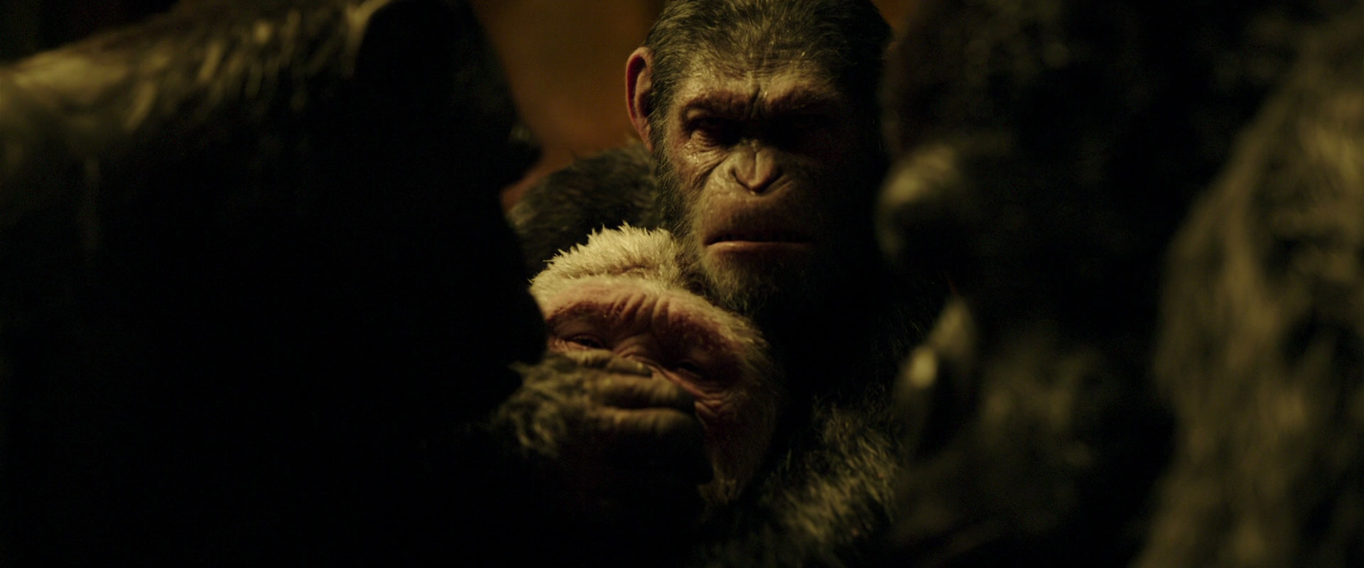 War for the Planet of the Apes (2017) HD screenshot 4292