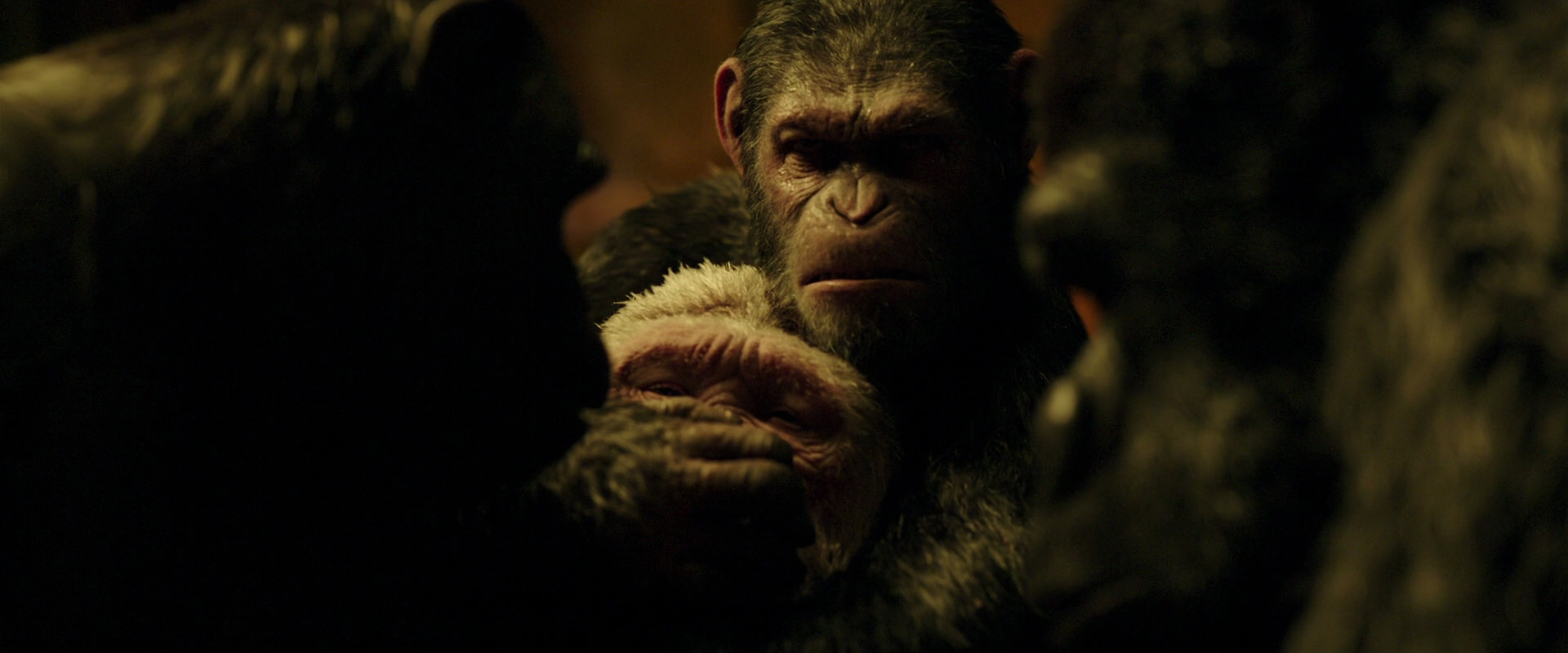 War for the Planet of the Apes (2017) screencap 4293