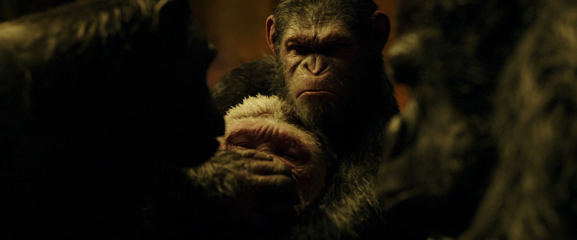 War for the Planet of the Apes (2017) movie still 4294