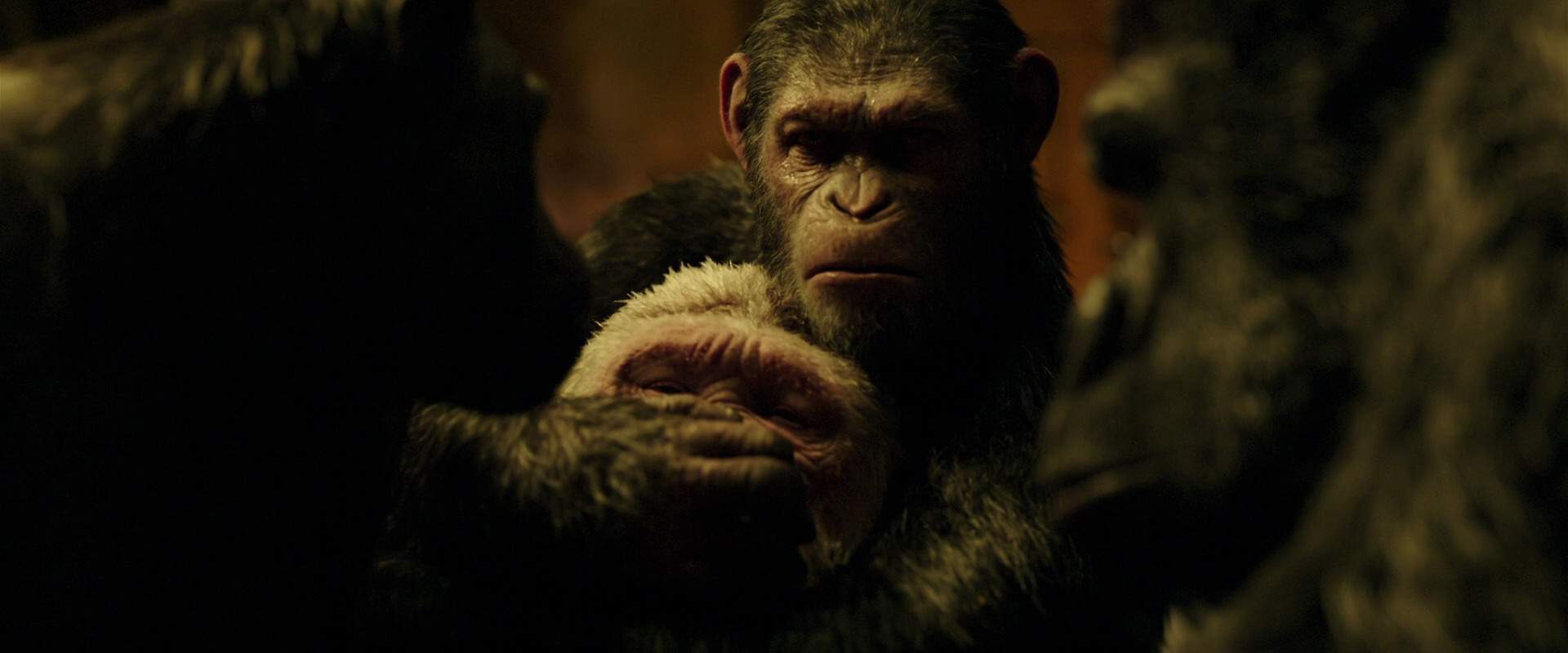 War for the Planet of the Apes (2017) HD screenshot 4295
