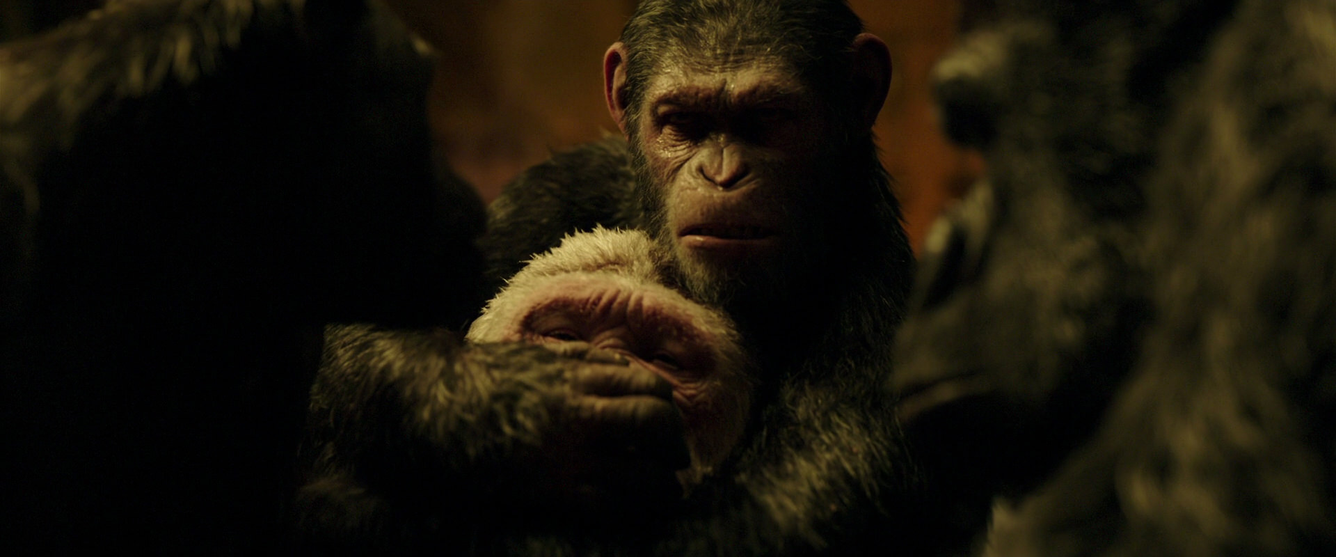 War for the Planet of the Apes (2017) screencap 4296