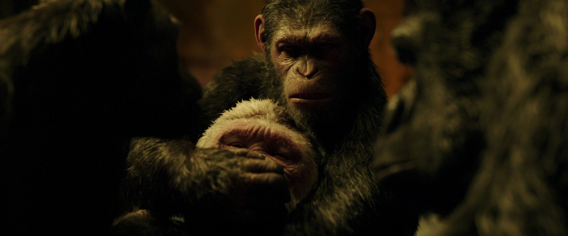 War for the Planet of the Apes (2017) movie still 4297