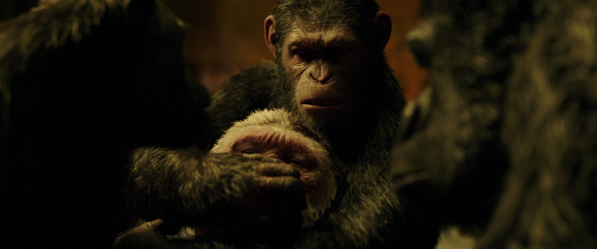 War for the Planet of the Apes (2017) HD screenshot 4298