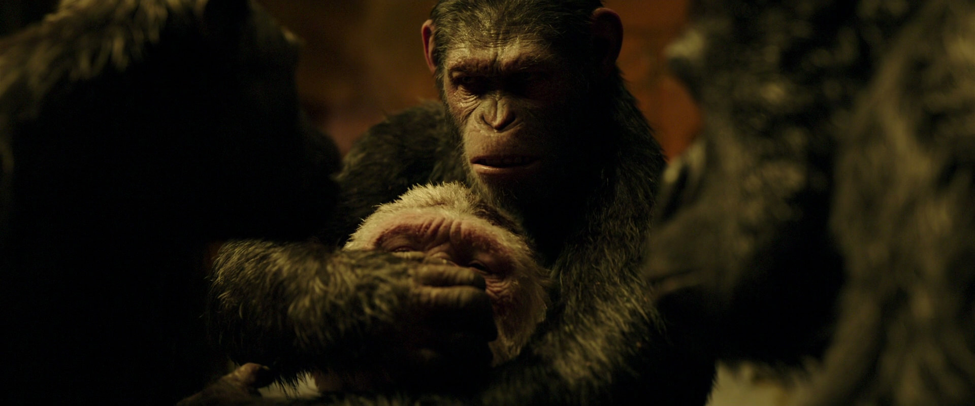 War for the Planet of the Apes (2017) screencap 4299