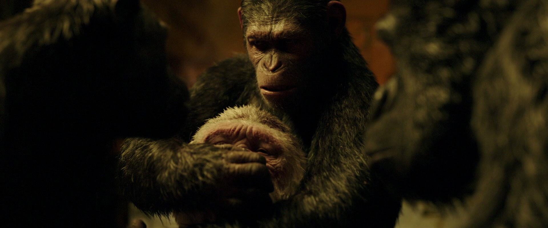 War for the Planet of the Apes (2017) movie still 4300