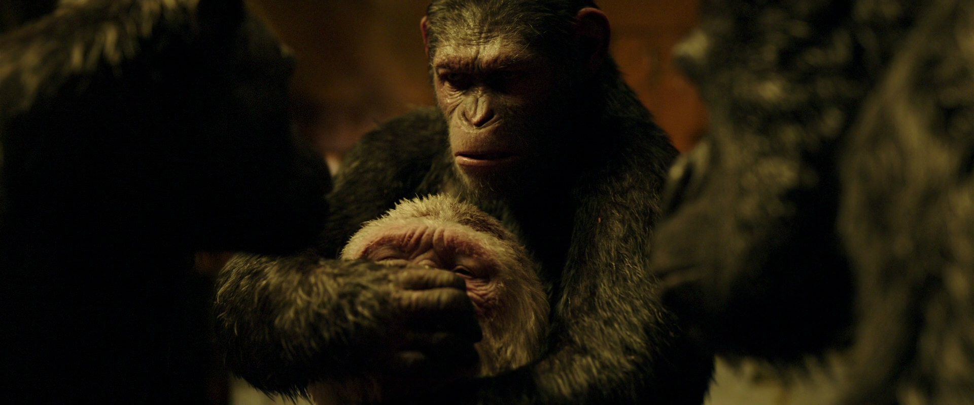 War for the Planet of the Apes (2017) HD screenshot 4301