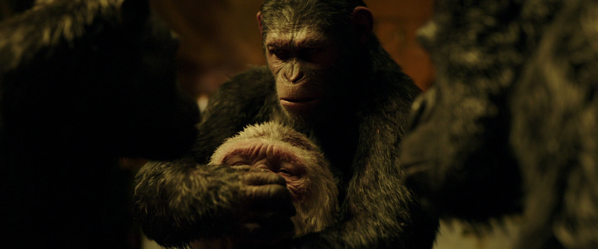 War for the Planet of the Apes (2017) screencap 4302