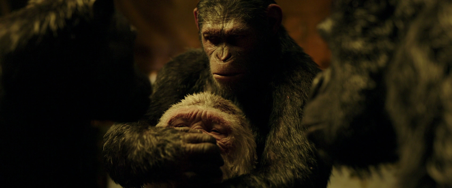 War for the Planet of the Apes (2017) movie still 4303