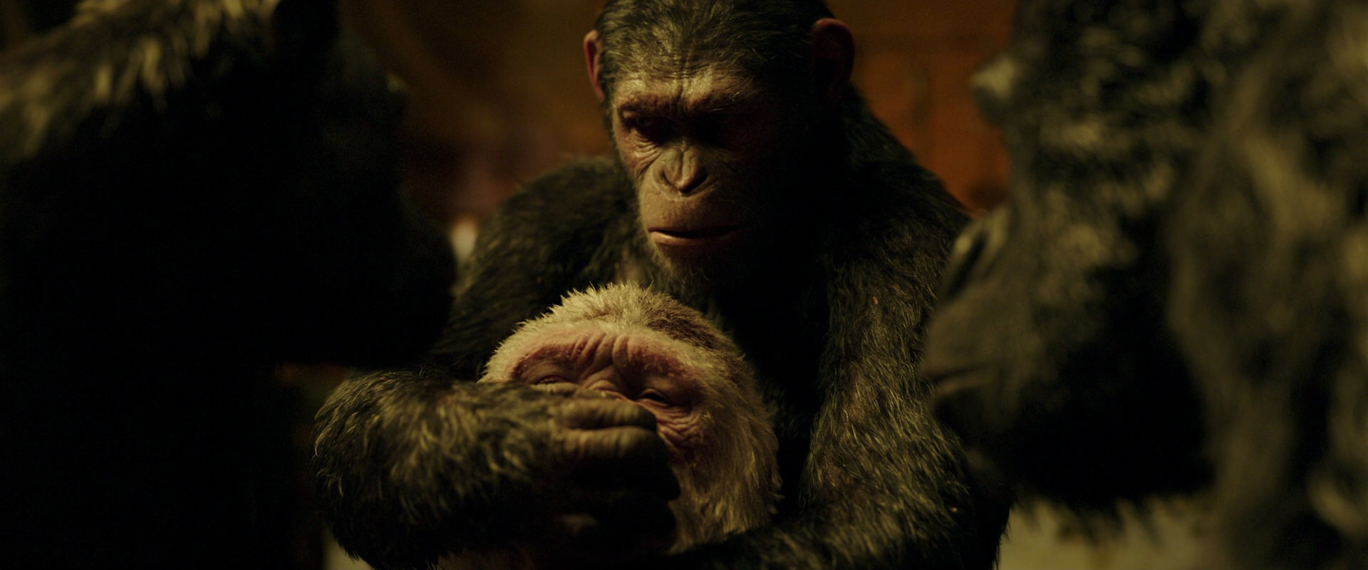 War for the Planet of the Apes (2017) HD screenshot 4304