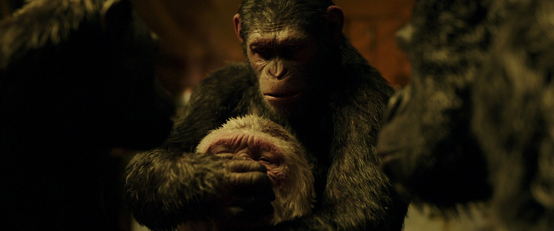 War for the Planet of the Apes (2017) screencap 4305