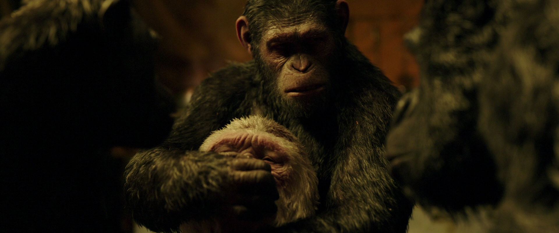 War for the Planet of the Apes (2017) movie still 4306