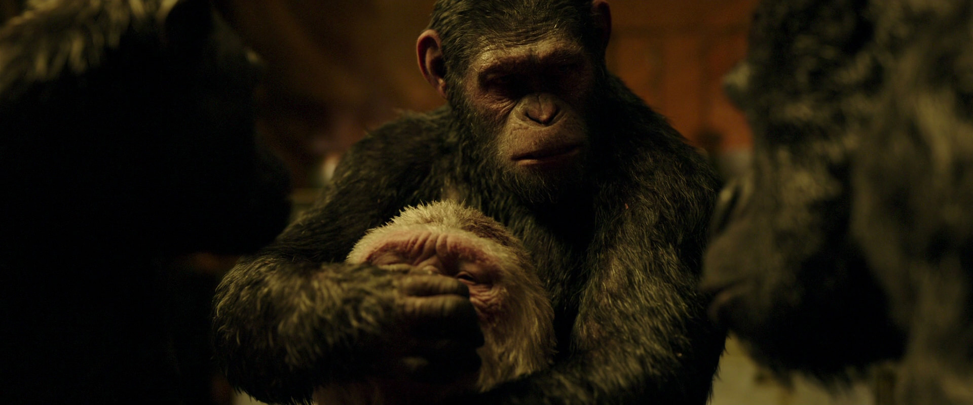 War for the Planet of the Apes (2017) screencap 4308