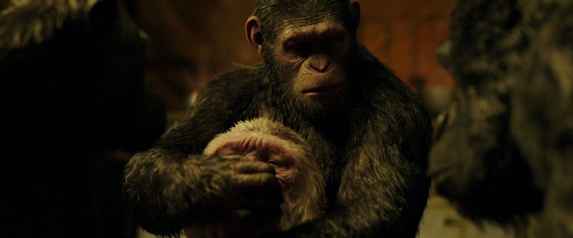 War for the Planet of the Apes (2017) movie still 4309