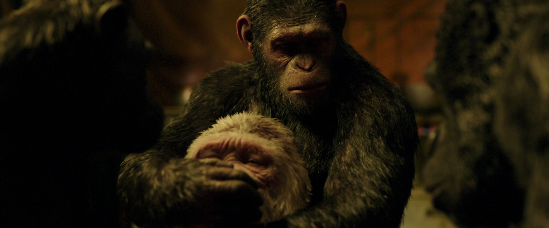 War for the Planet of the Apes (2017) screencap 4311