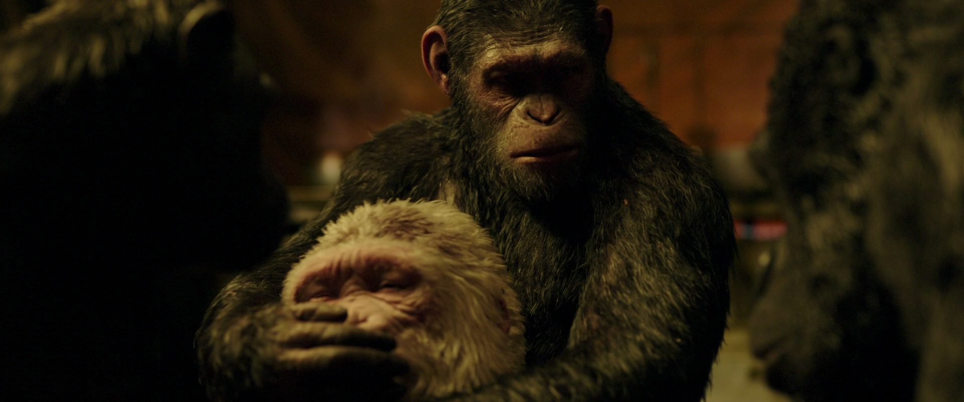 War for the Planet of the Apes (2017) movie still 4312