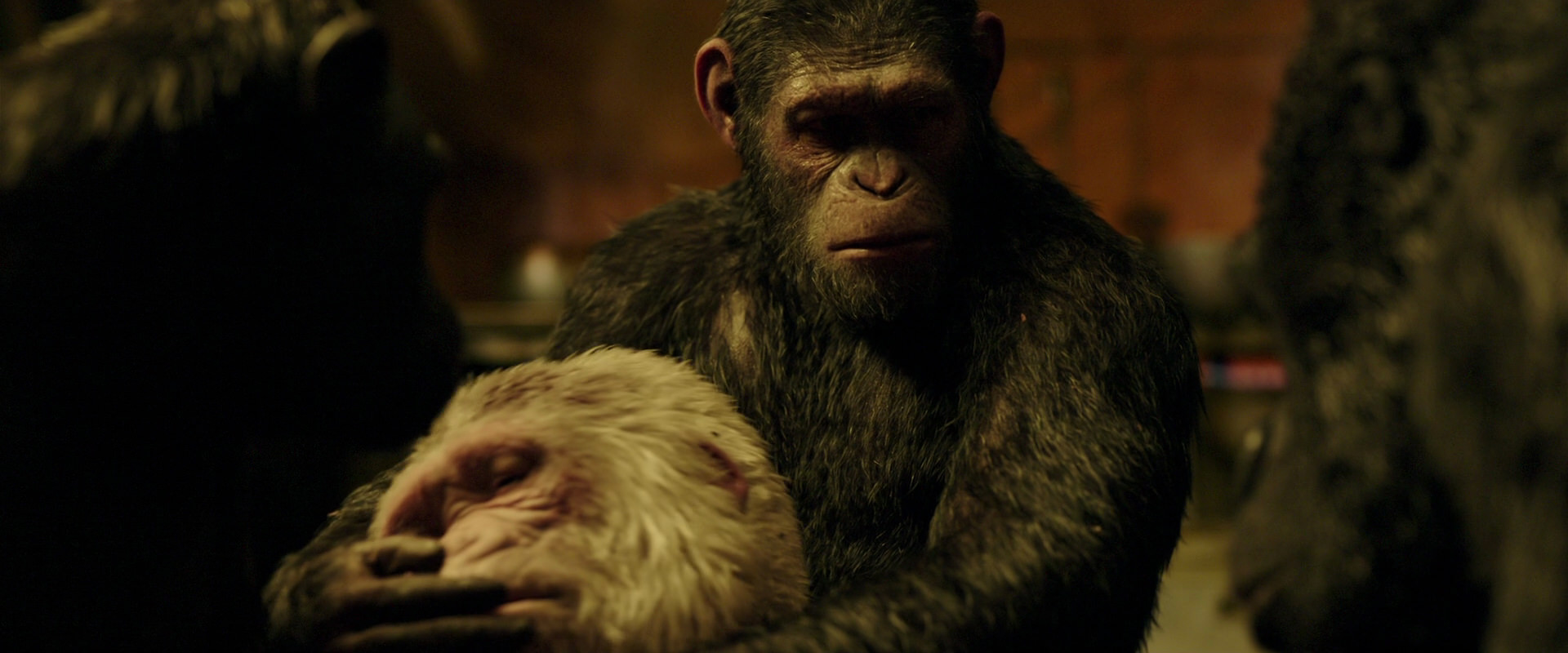 War for the Planet of the Apes (2017) HD screenshot 4313