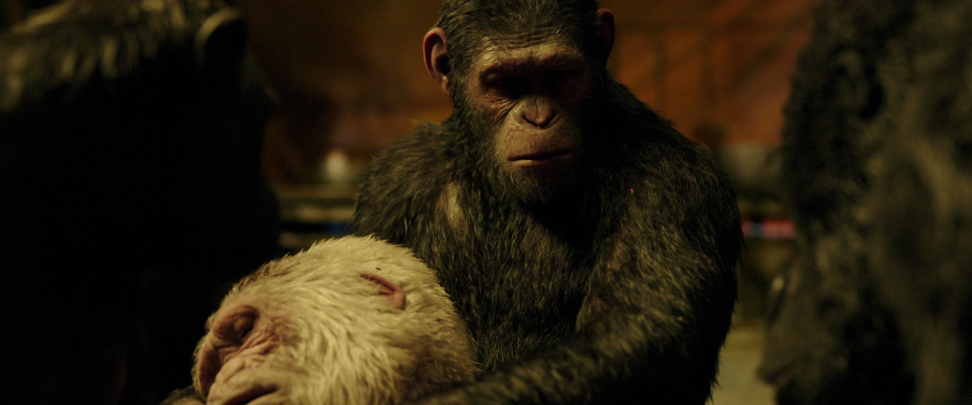 War for the Planet of the Apes (2017) screencap 4314