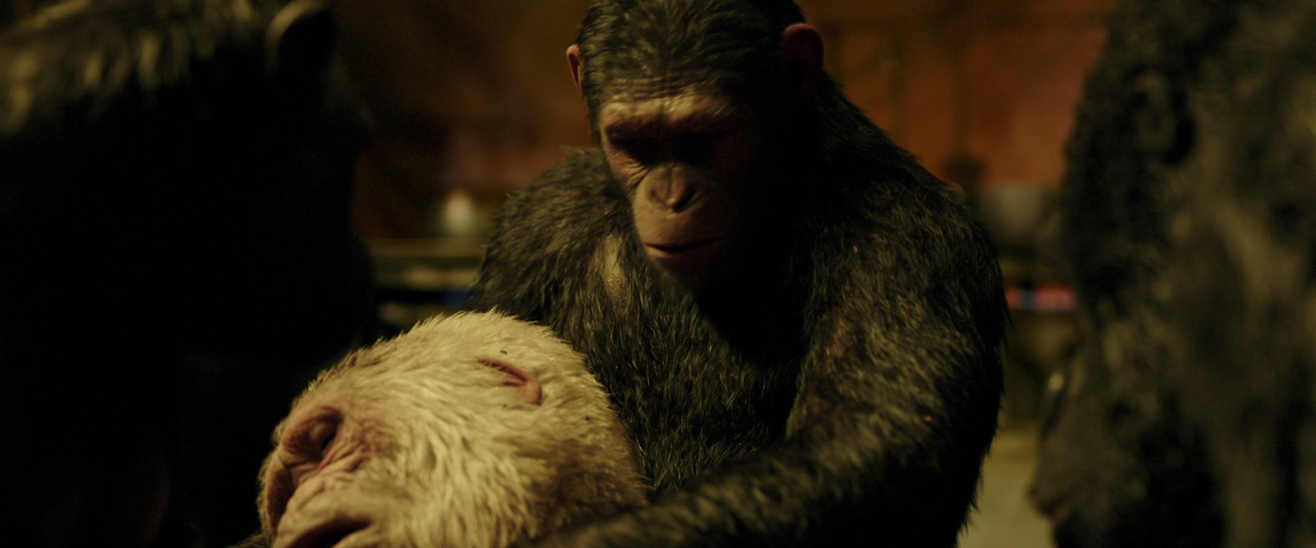War for the Planet of the Apes (2017) movie still 4315