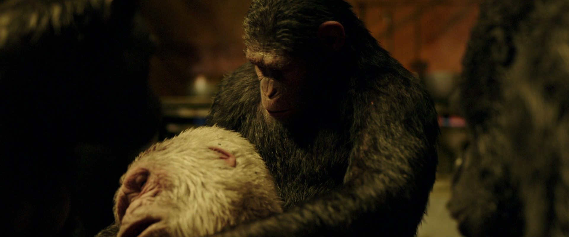 War for the Planet of the Apes (2017) HD screenshot 4316