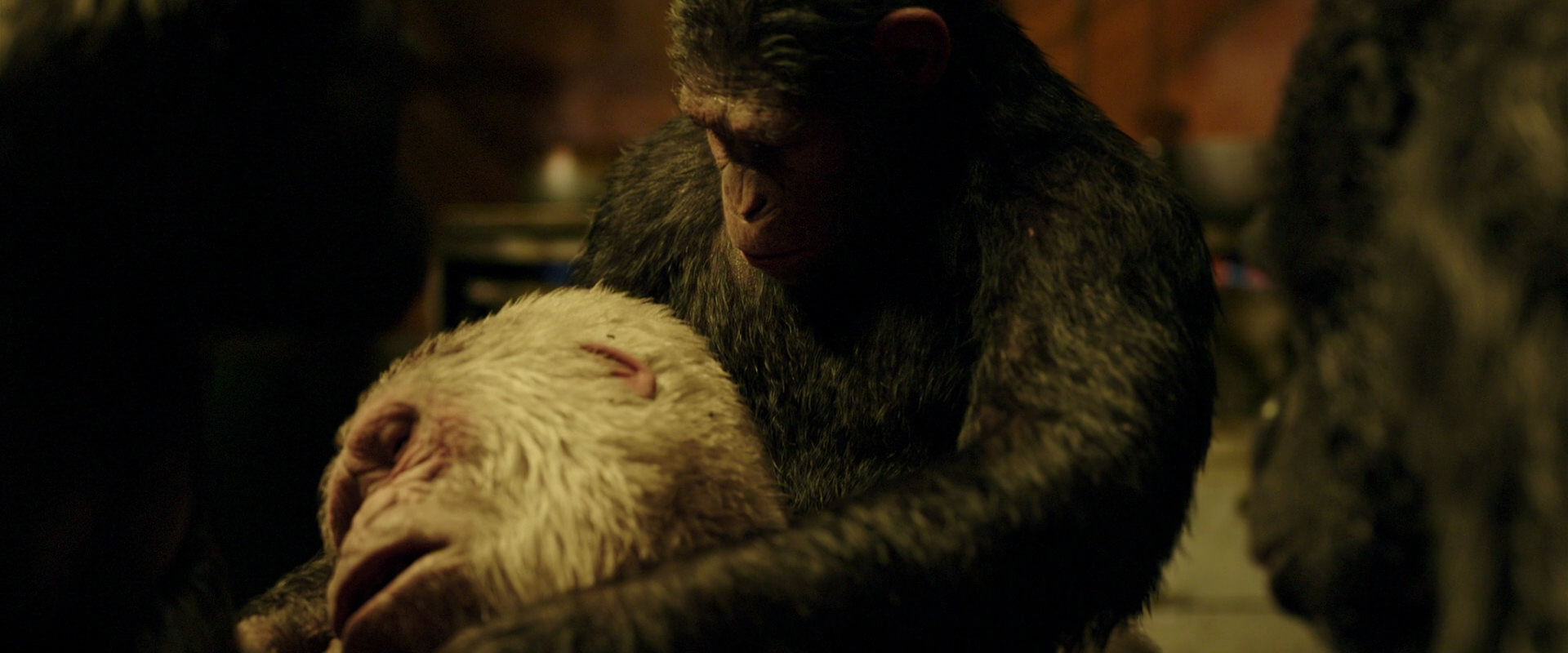 War for the Planet of the Apes (2017) screencap 4317