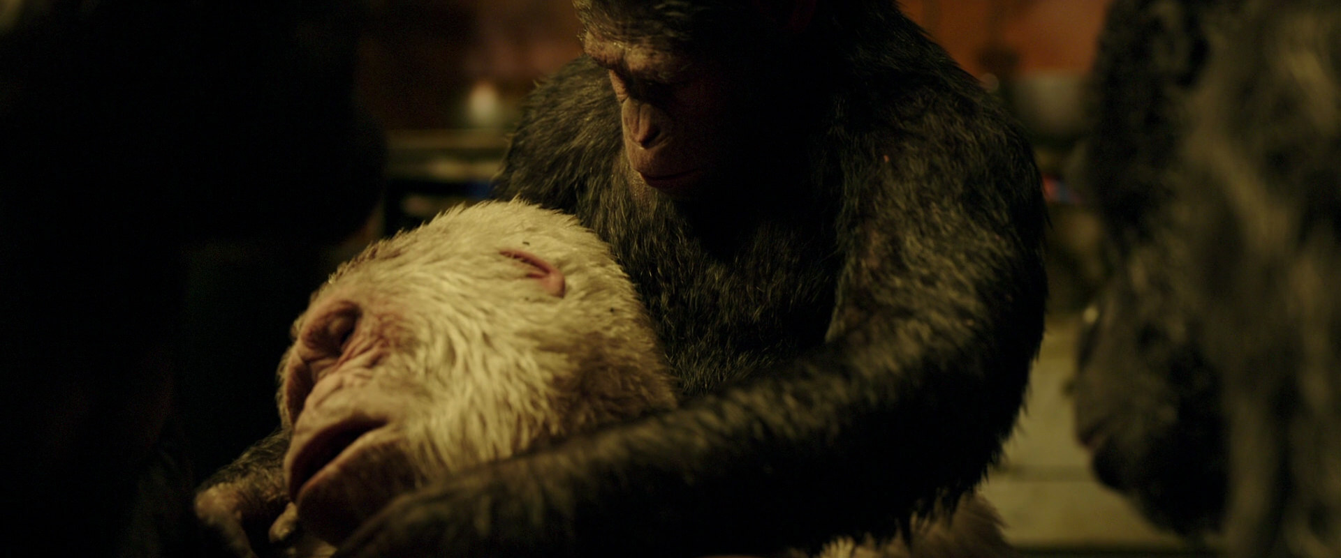 War for the Planet of the Apes (2017) movie still 4318