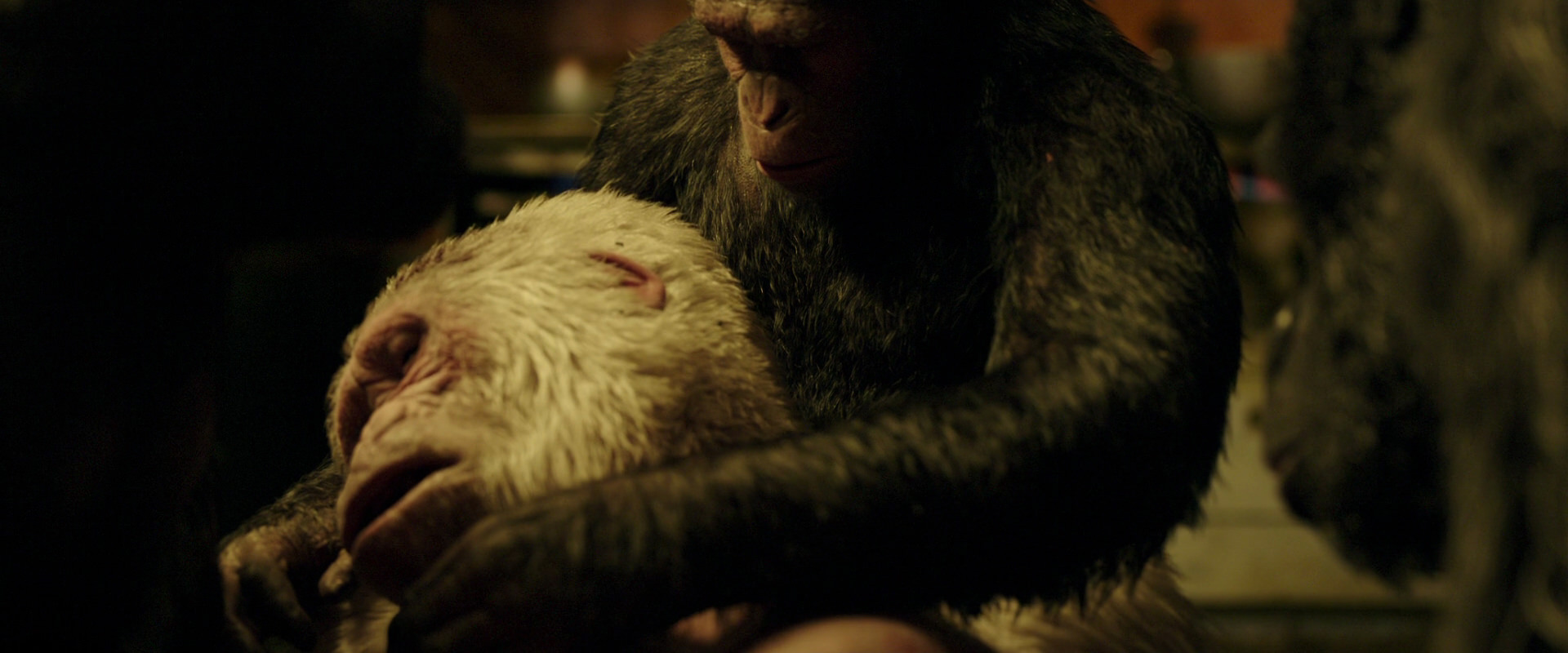 War for the Planet of the Apes (2017) screencap 4320