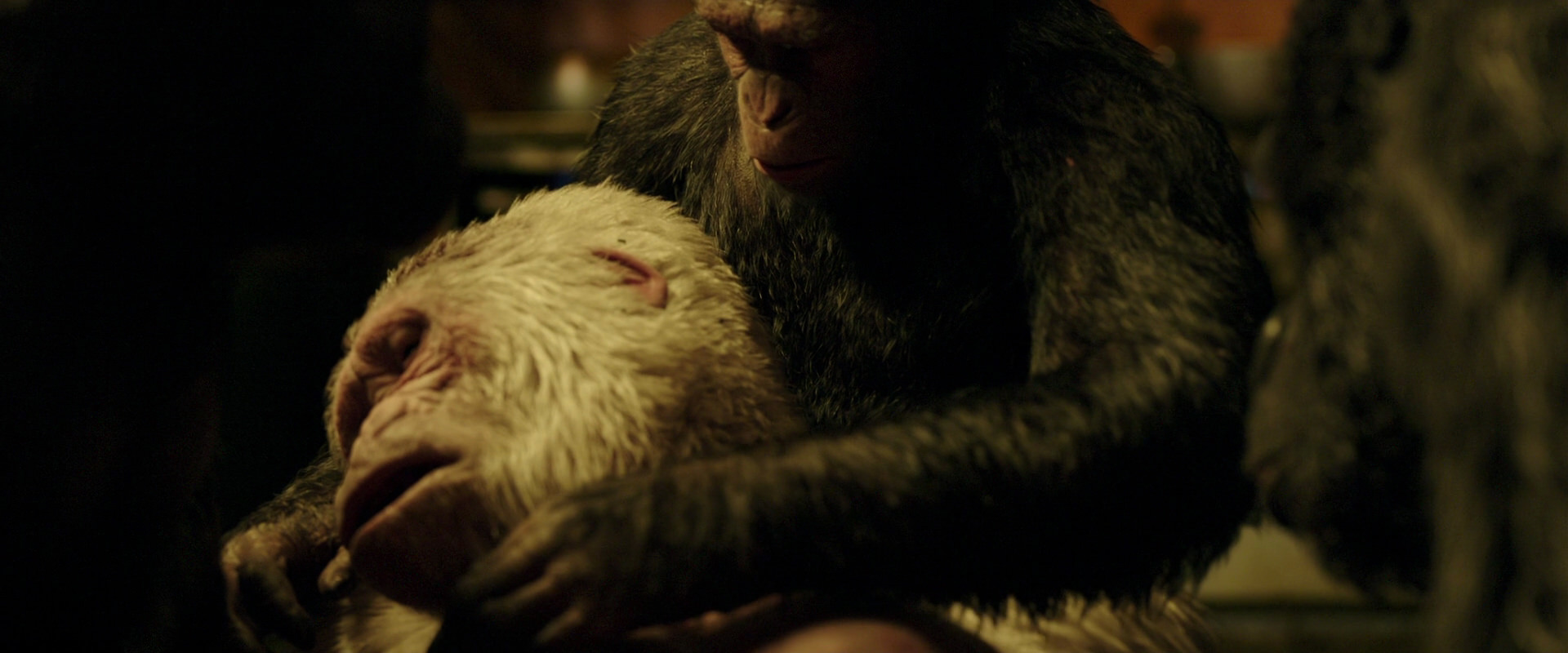 War for the Planet of the Apes (2017) movie still 4321
