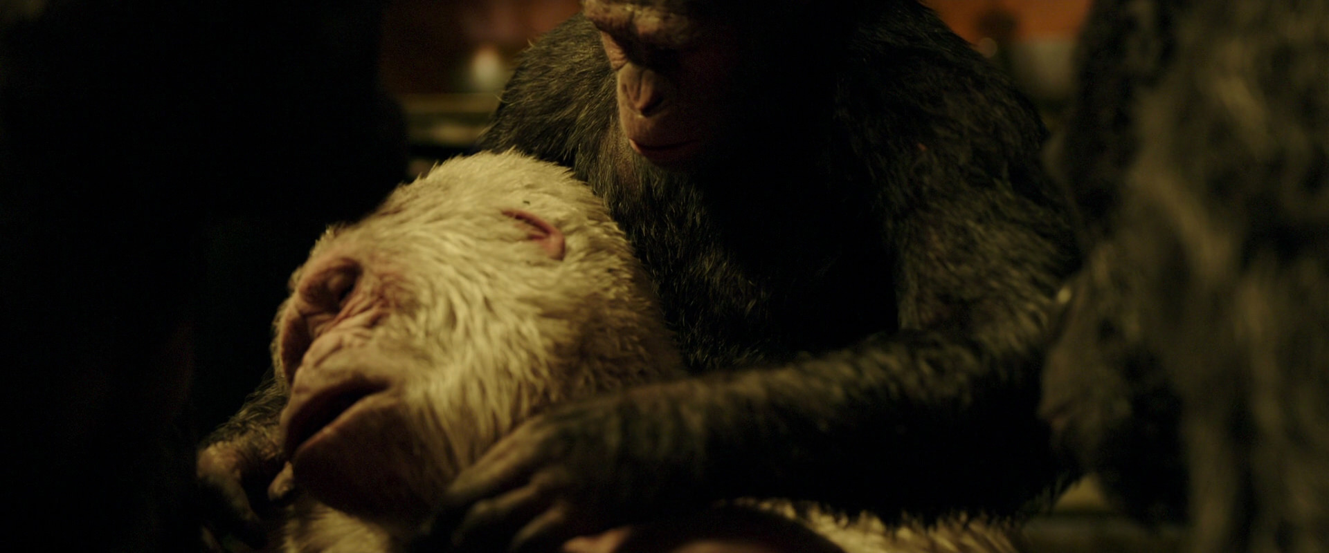 War for the Planet of the Apes (2017) HD screenshot 4322