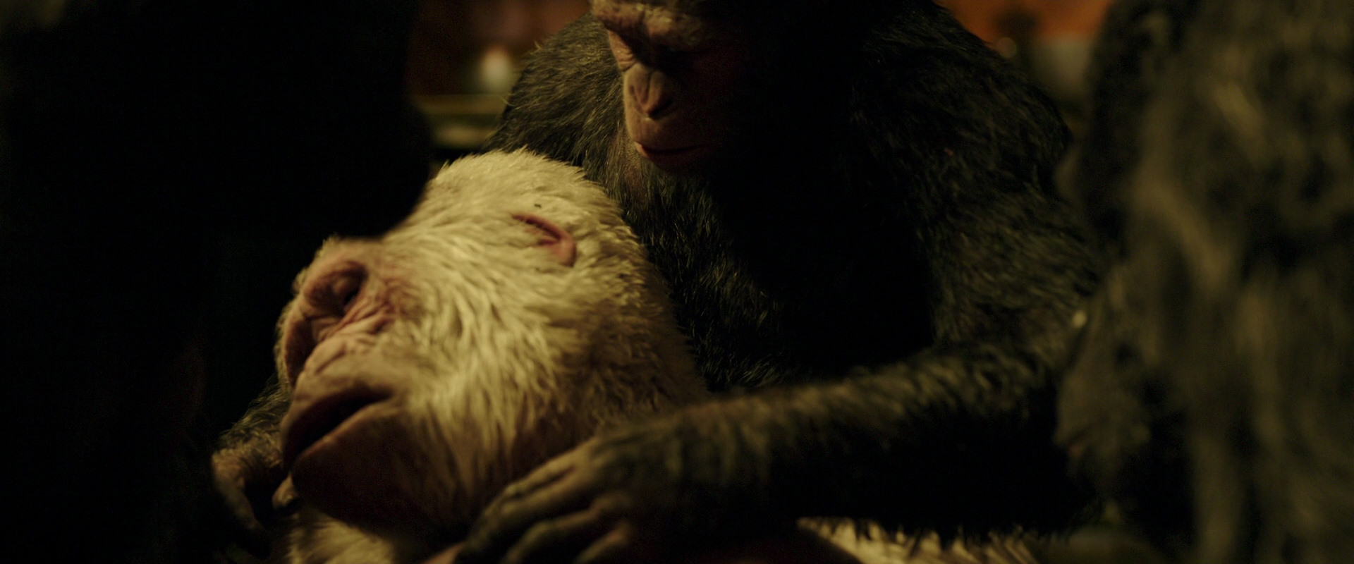 War for the Planet of the Apes (2017) screencap 4323